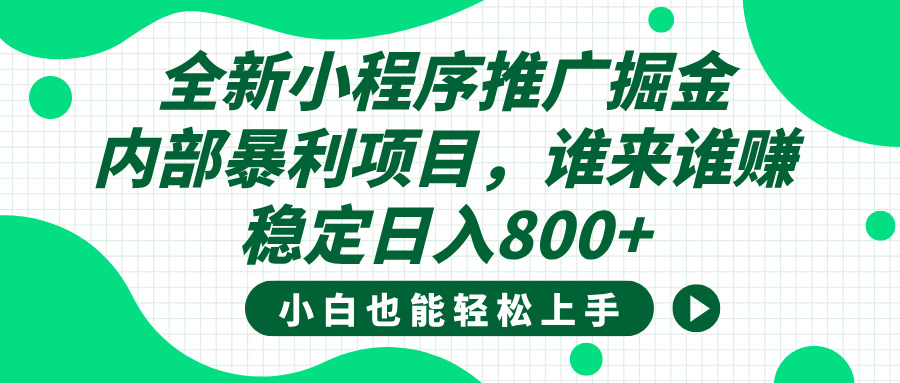 全新小程序推广掘金，内部暴利项目，小白轻松上手，稳定日入800+