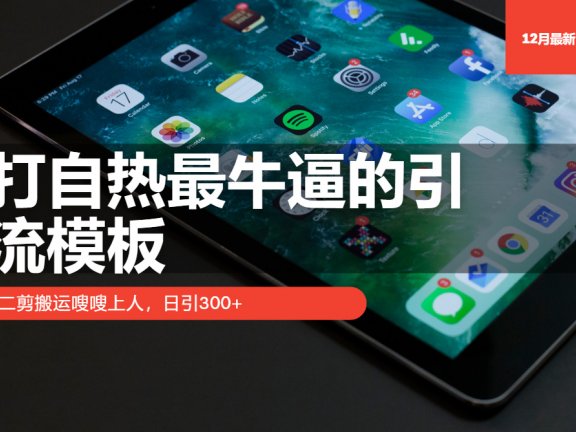 打自热最牛逼的引流模板,日引300+,二剪搬运嗖嗖上人